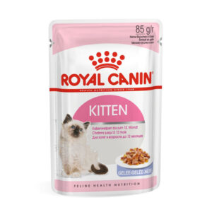 پوچ بچه گربه رویال کنین کیتن ژله ای (Royal Canin Kitten Jelly Wet) وزن 85 گرم
