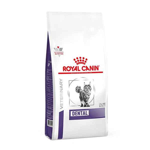 غذای خشک گربه رویال کنین دنتال (Royal canin dental dry cat food) وزن 1.5 کیلوگرم