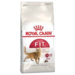 غذای خشک گربه رویال کنین رگیولار فیت (Royal canin regular fit dry cat food) وزن 10 کیلوگرم