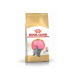 غذای خشک بچه گربه رویال کنین کیتن بریتیش شورت هیر (royal canin British shorthair kitten) وزن 2 کیلوگرم